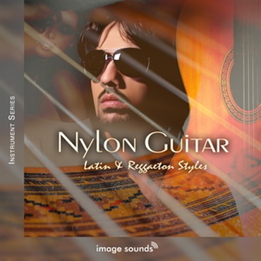 NYLON GUITAR - LATIN AND REGGAETON STYLES(オンライン納品)(2時間以内に納品)