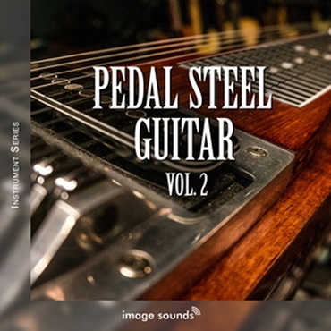 PEDAL STEEL GUITAR 2(オンライン納品)(2時間以内に納品)