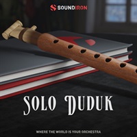 SOLO DUDUK(オンライン納品)(2時間以内に納品)