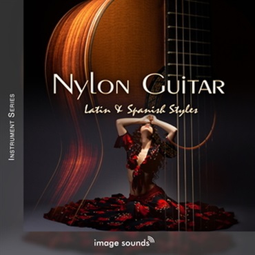 NYLON GUITAR - LATIN & SPANISH STYLES(オンライン納品)(2時間以内に納品)