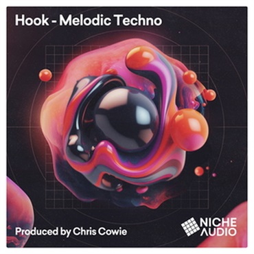 NICHE AUDIO HOOK - MELODIC TECHNO(オンライン納品)(2時間以内に納品)