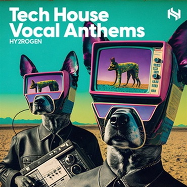 TECH HOUSE VOCAL ANTHEMS(オンライン納品)(2時間以内に納品)