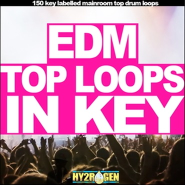 EDM TOP LOOPS IN KEY(オンライン納品)(2時間以内に納品)