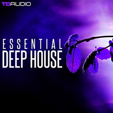 INDUSTRIAL STRENGTH TD AUDIO - ESSENTIAL DEEP HOUSE(オンライン納品)(2時間以内に納品)