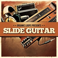 SLIDE GUITAR(オンライン納品)(2時間以内に納品)