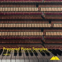 PREPARED PIANO SAMPLES