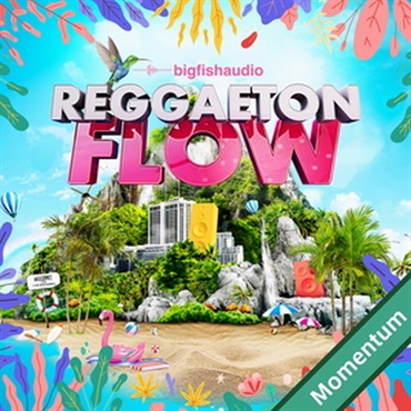 BIG FISH AUDIO 【ビッグフィッシュオーディオクリスマスセール！】REGGAETON FLOW MMT(オンライン納品)(2時間以内に納品)