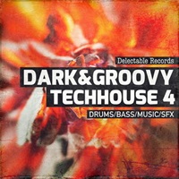 DARK AND GROOVY TECHHOUSE 04(オンライン納品)(2時間以内に納品)