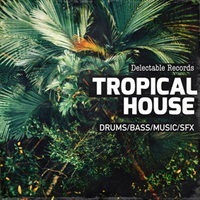 DELECTABLE RECORDS PRESENT - TROPICAL HOUSE 01(オンライン納品)(2時間以内に納品)