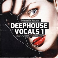 DEEPHOUSE VOCALS 01(オンライン納品)(2時間以内に納品)