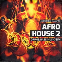 DELECTABLE RECORDS - AFRO HOUSE 02(オンライン納品)(2時間以内に納品)