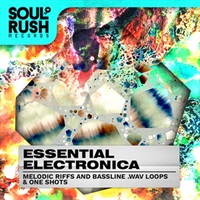 ESSENTIAL ELECTRONICA(オンライン納品)(2時間以内に納品)