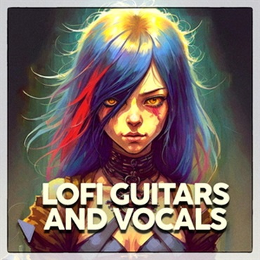 DABRO MUSIC LOFI GUITARS & VOCALS(オンライン納品)(2時間以内に納品)