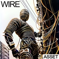 WIRE - ASSET(オンライン納品)(2時間以内に納品)
