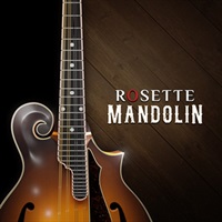 【インパクトサウンドワークスサマーセール！対象製品が最大62%OFF！】ROSETTE MANDOLIN(オンライン納品)(2時間以内に納品)