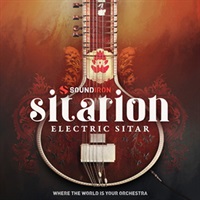 SITARION(オンライン納品)(2時間以内に納品)