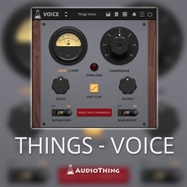 AUDIOTHING THINGS - VOICE(オンライン納品)(2時間以内に納品)