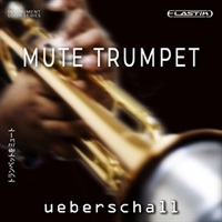 MUTE TRUMPET(オンライン納品)(2時間以内に納品)