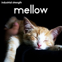 MELLOW(オンライン納品)(2時間以内に納品)