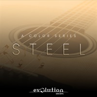 PREPARED COLORS STEEL(オンライン納品)(2時間以内に納品)