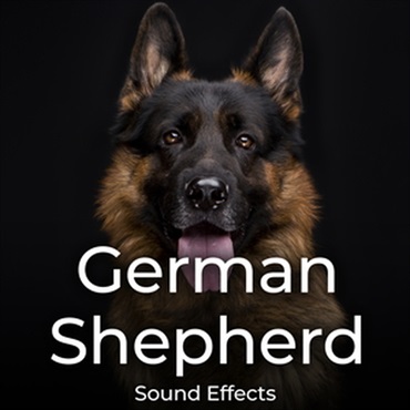 SOUND IDEAS GERMAN SHEPHERD SOUND EFFECTS(オンライン納品)(2時間以内に納品)