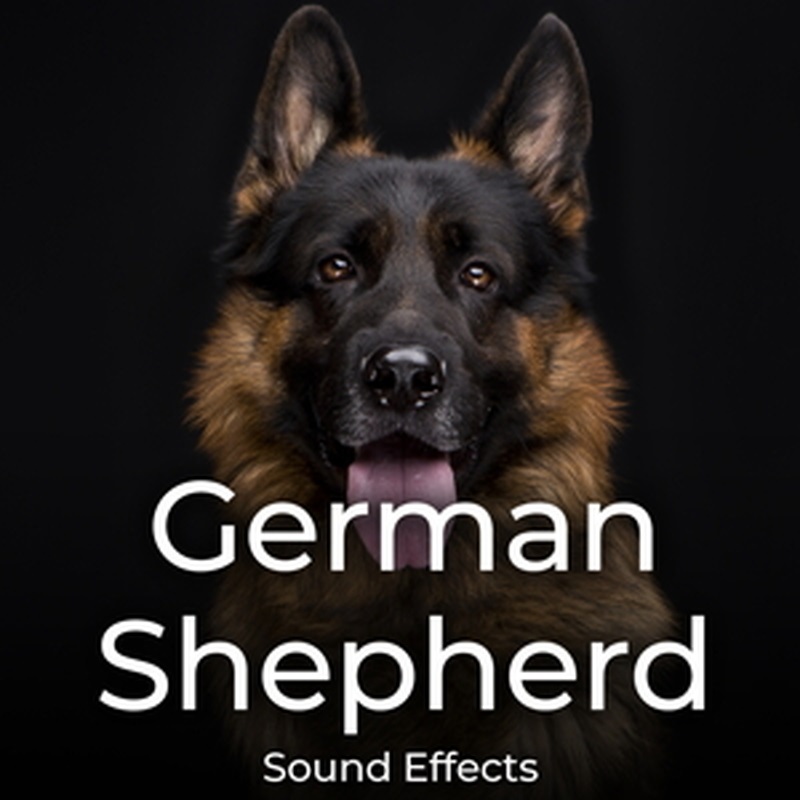 SOUND IDEAS GERMAN SHEPHERD SOUND EFFECTS(オンライン納品)(2時間以内に納品)