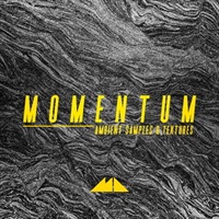 MOMENTUM(オンライン納品)(2時間以内に納品)