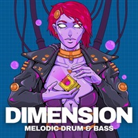 【ループマスターズサンプルパックが約40%OFF！】DIMENSION - DRUM & BASS(オンライン納品)(2時間以内に納品)