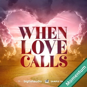 BIG FISH AUDIO WHEN LOVE CALLS - CINEMATIC SOUNDSCAPES(オンライン納品)(2時間以内に納品)