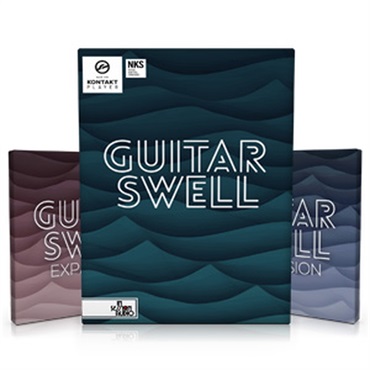GUITAR SWELL ＋ EXPANSION(オンライン納品)(2時間以内に納品)