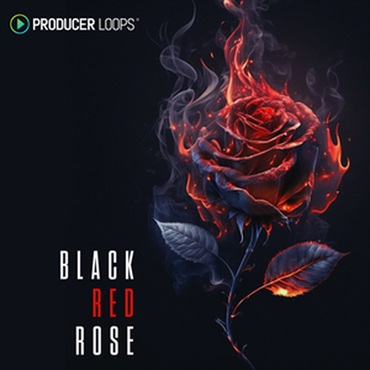 BLACK RED ROSE(オンライン納品)(2時間以内に納品)