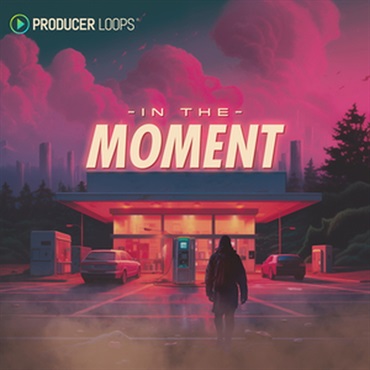 PRODUCER LOOPS IN THE MOMENT(オンライン納品)(2時間以内に納品)