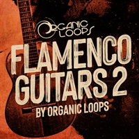 FLAMENCO GUITARS 2(オンライン納品)(2時間以内に納品)