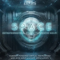SPACE(オンライン納品)(2時間以内に納品)
