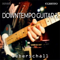 DOWNTEMPO GUITAR 2(オンライン納品)(2時間以内に納品)