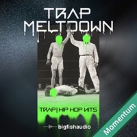 【ビッグフィッシュオーディオサンプルパックが25%OFF！】TRAP MELTDOWN MMT(オンライン納品)(2時間以内に納品)