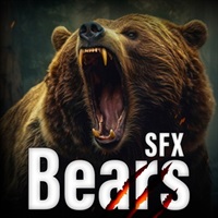 BEARS SOUND EFFECTS LIBRARY(オンライン納品)(2時間以内に納品)