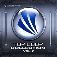 TOP LOOP COLLECTION 2(オンライン納品)(2時間以内に納品)