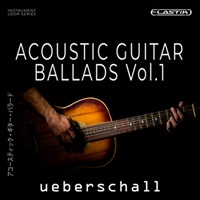 ACOUSTIC GUITAR BALLADS(オンライン納品)(2時間以内に納品)
