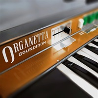 ORGANETTA(オンライン納品)(2時間以内に納品)