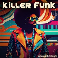 KILLER FUNK(オンライン納品)(2時間以内に納品)