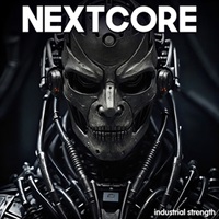NEXTCORE(オンライン納品)(2時間以内に納品)