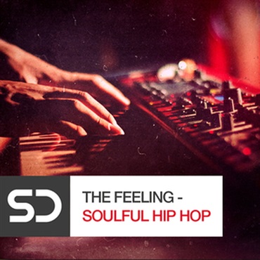 THE FEELING - SOULFUL HIP HOP(オンライン納品)(2時間以内に納品)