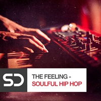 THE FEELING - SOULFUL HIP HOP(オンライン納品)(2時間以内に納品)