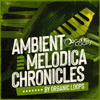 AMBIENT MELODICA CHRONICLES(オンライン納品)(2時間以内に納品)