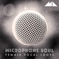 MICROPHONE SOUL(オンライン納品)(2時間以内に納品)