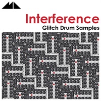 INTERFERENCE(オンライン納品)(2時間以内に納品)