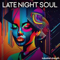 LATE NIGHT SOUL(オンライン納品)(2時間以内に納品)