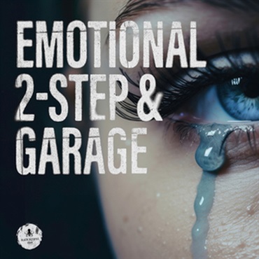 EMOTIONAL 2-STEP & GARAGE(オンライン納品)(2時間以内に納品)