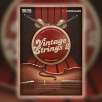 VINTAGE STRINGS 2(オンライン納品)(2時間以内に納品)